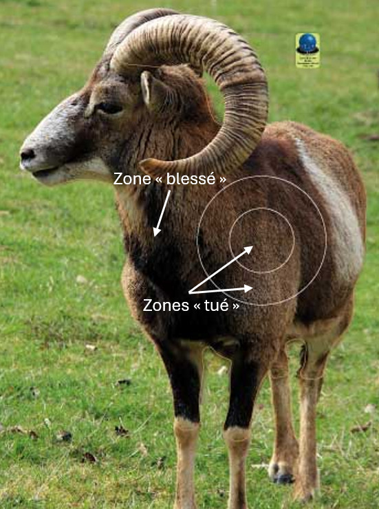 Zones de score